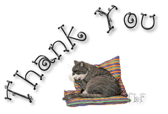 thank20you20cat20lick